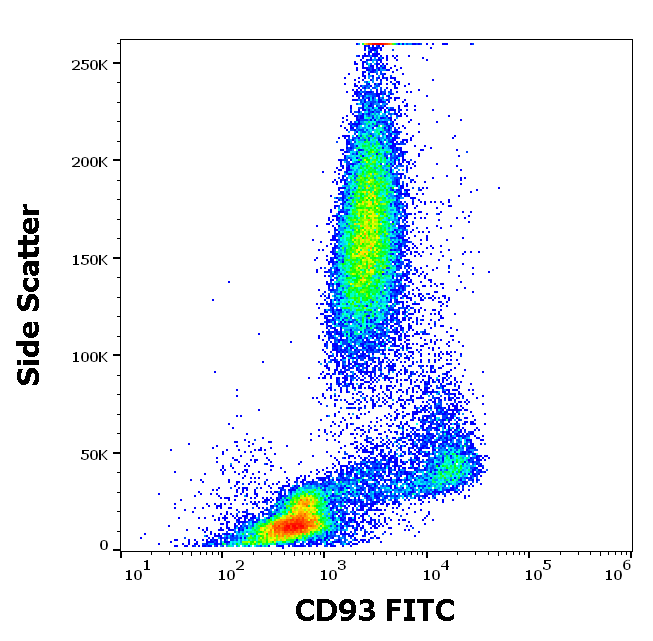 CD93 Antibody (FITC)