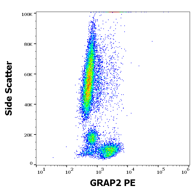 GRAP2 Antibody (PE)