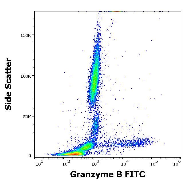 Granzyme B Antibody (FITC)