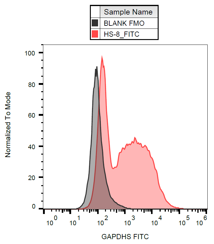 GAPDHS Antibody (FITC)