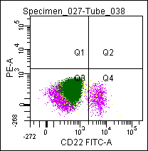 Mouse CD22, conjugated to FITC Antibody