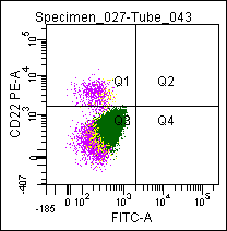 Mouse CD22, conjugated to PE Antibody