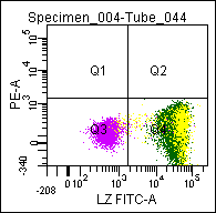Mouse Lysozyme, conjugated to FITC Antibody