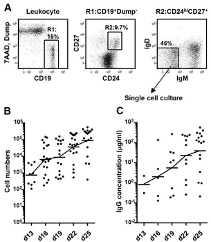 Mouse IgG1 Kappa Isotype control Antibody