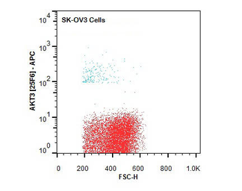 AKT3 Antibody (APC)