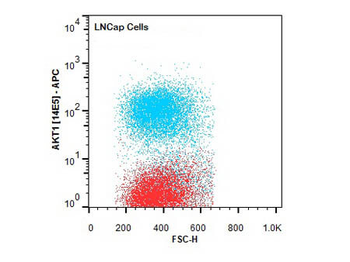 AKT1 Antibody (APC)
