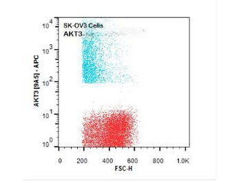 AKT3 Antibody (APC)