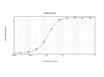 LYZ Antibody