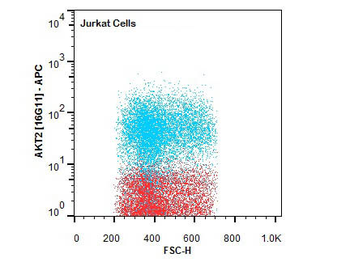 AKT2 Antibody (APC)