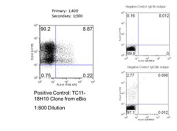 Mouse IL-17A Antibody