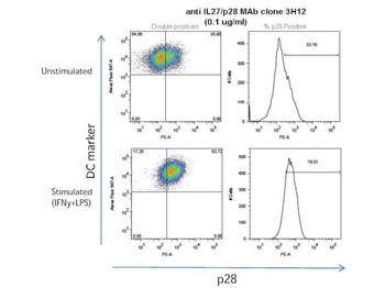 Mouse IL-27/p28 Antibody