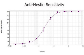 Nestin Antibody