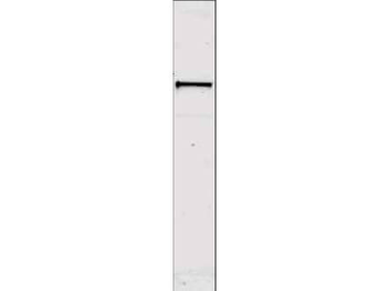 UBASH3B Antibody