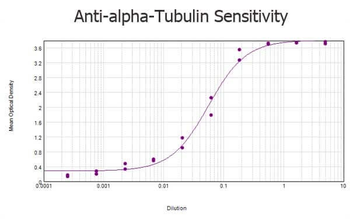 Alpha-Tubulin Antibody