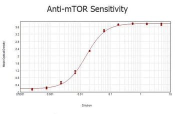 mTOR Antibody