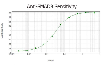 SMAD3 Antibody