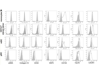 Collagen Type I Antibody Biotin Conjugated