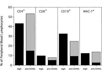 Armenian Hamster IgG isotype Control Antibody
