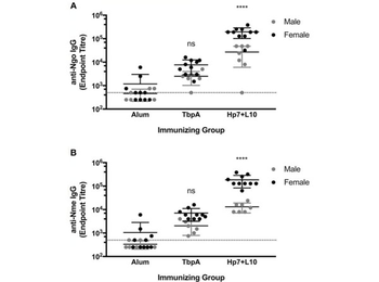 Mouse IgG (H&L) Antibody Peroxidase Conjugated