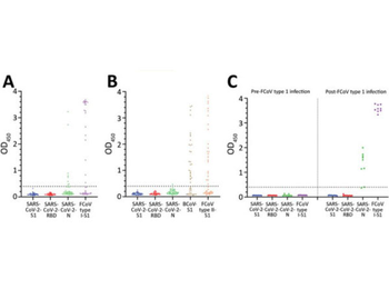 Cat IgG (H&L) Antibody Peroxidase Conjugated