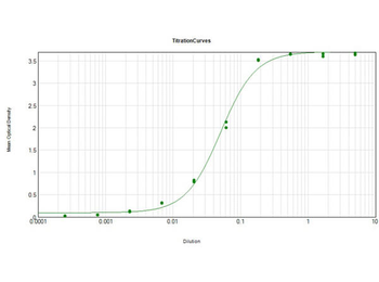 Human IgG (H&L) Secondary Antibody Alkaline Phosphatase Conjugated Pre-Adsorbed