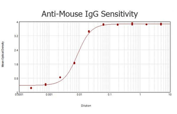 Mouse IgG (H&L) Secondary Antibody Peroxidase Conjugated Pre-Adsorbed