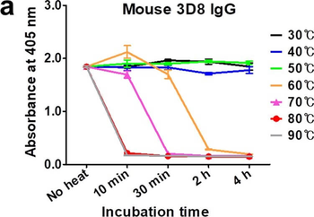 Mouse IgG Fc Antibody Alkaline Phosphatase Conjugated