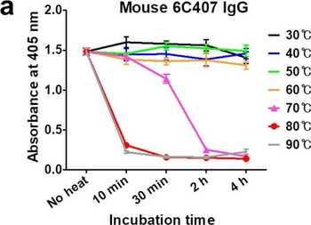 Mouse IgG Fc Antibody Alkaline Phosphatase Conjugated