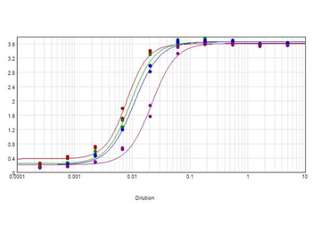 Mouse IgG (H&L) Antibody Biotin Conjugated Pre-Adsorbed