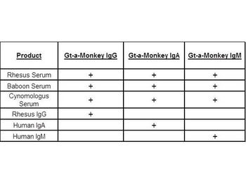 Monkey IgM (mu chain) Antibody Alkaline Phosphatase Conjugated