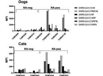 F(ab')2 Dog IgG (H&L) Antibody Phycoerythrin conjugated