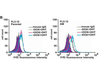 F(ab')2 Mouse IgG (H&L) Antibody Fluorescein Conjugated Pre-Adsorbed