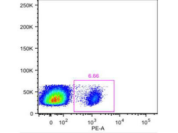 Facs And If Staining Buffer With Fbs