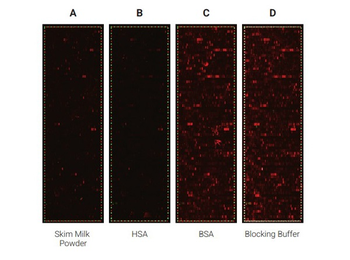 Blocking Buffer For Fluorescent Western Blotting