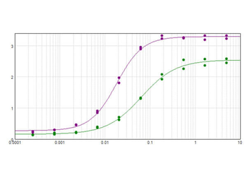 HBBc Antibody