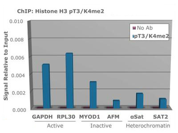 Histone H3 K4me2/phospho T3 Antibody