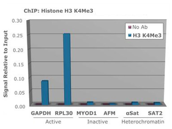 Histone H3 K4me3 Antibody