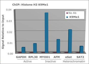 Histone H3 K9me1 Antibody