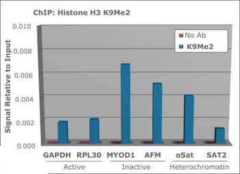 Histone H3 K9me2 Antibody
