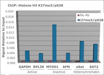 Histone H3 K27me3/phospho S28 Antibody