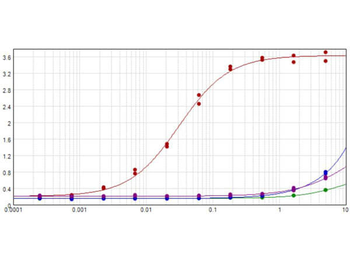 Ready-To-Use RFP Antibody Pre-adsorbed