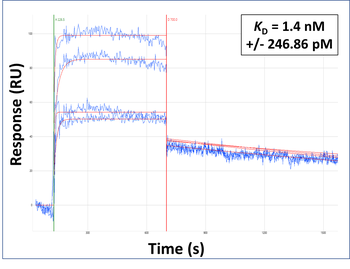 OLIG2 Rabbit Polyclonal Antibody