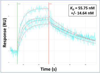 SLC10A1 Rabbit Polyclonal Antibody
