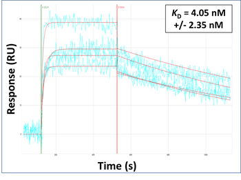 TGFB2 Rabbit Polyclonal Antibody