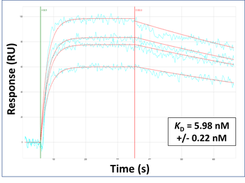 TSPAN5 Rabbit Polyclonal Antibody