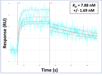 MOSPD2 Rabbit Polyclonal Antibody