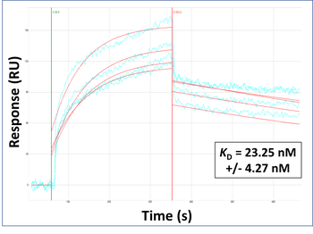 PDGFB Rabbit Polyclonal Antibody