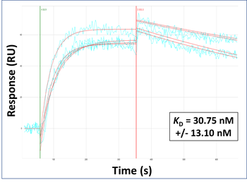 NLRP3 Rabbit Polyclonal Antibody