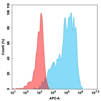 CLDN18.2 Biosimilar Antibody
