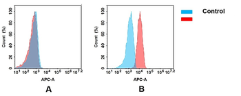ADAM9 Biosimilar Antibody